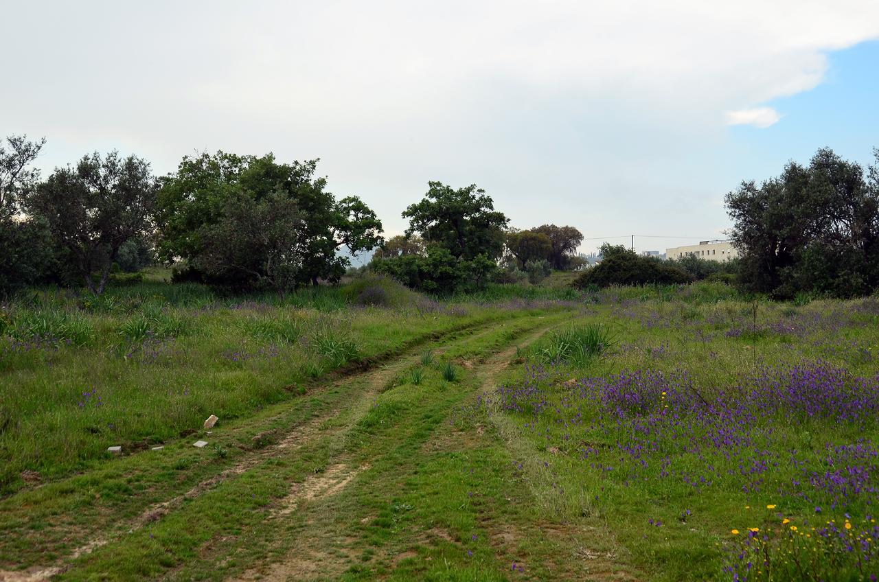 מלון פורטלגרה Rm Newhost 2015 / Casadochico מראה חיצוני תמונה
